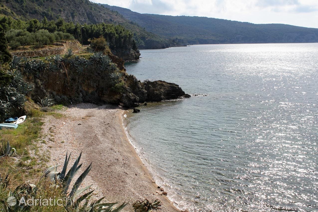 pet-friendly-beaches-2-l