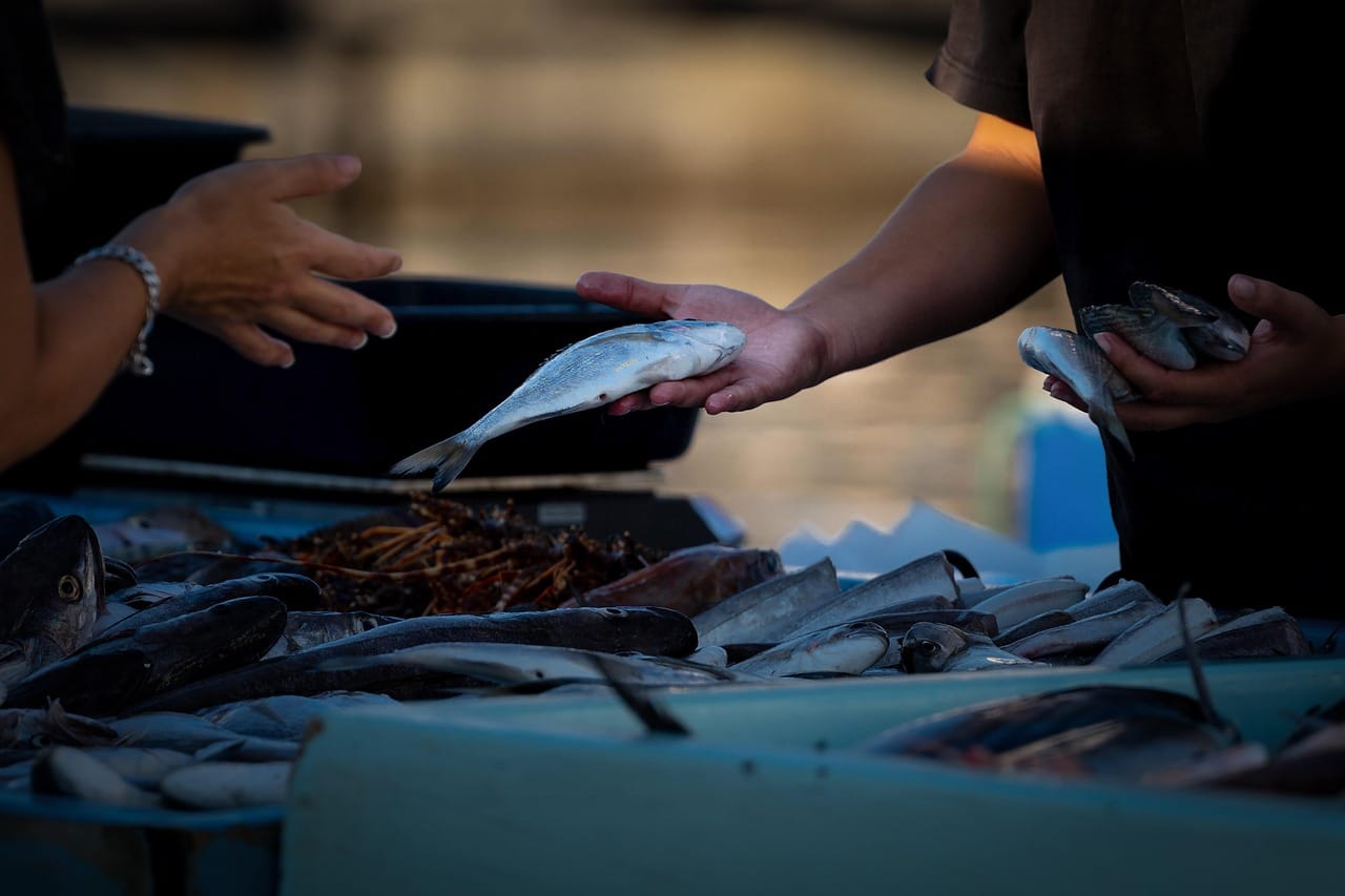 fish market sea in the background people buying fish