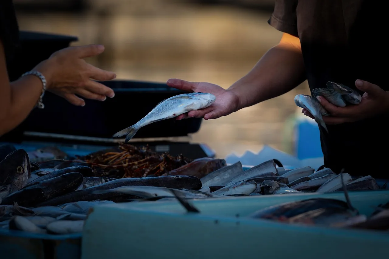 fish market sea in the background people buying fish