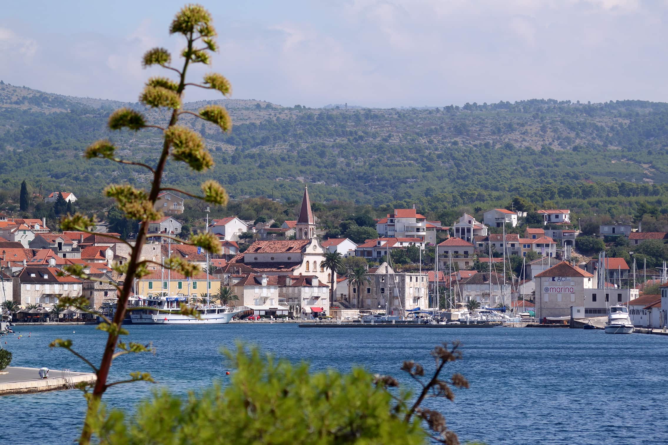 Widok na port Milna na wyspie Brač, Chorwacja, z kościołem Matki Bożej Zwiastowania, kamiennymi domami i mariną pełną jacht. Na pierwszym planie wyróżnia się agawa, a w tle widać zielone wzgórza.