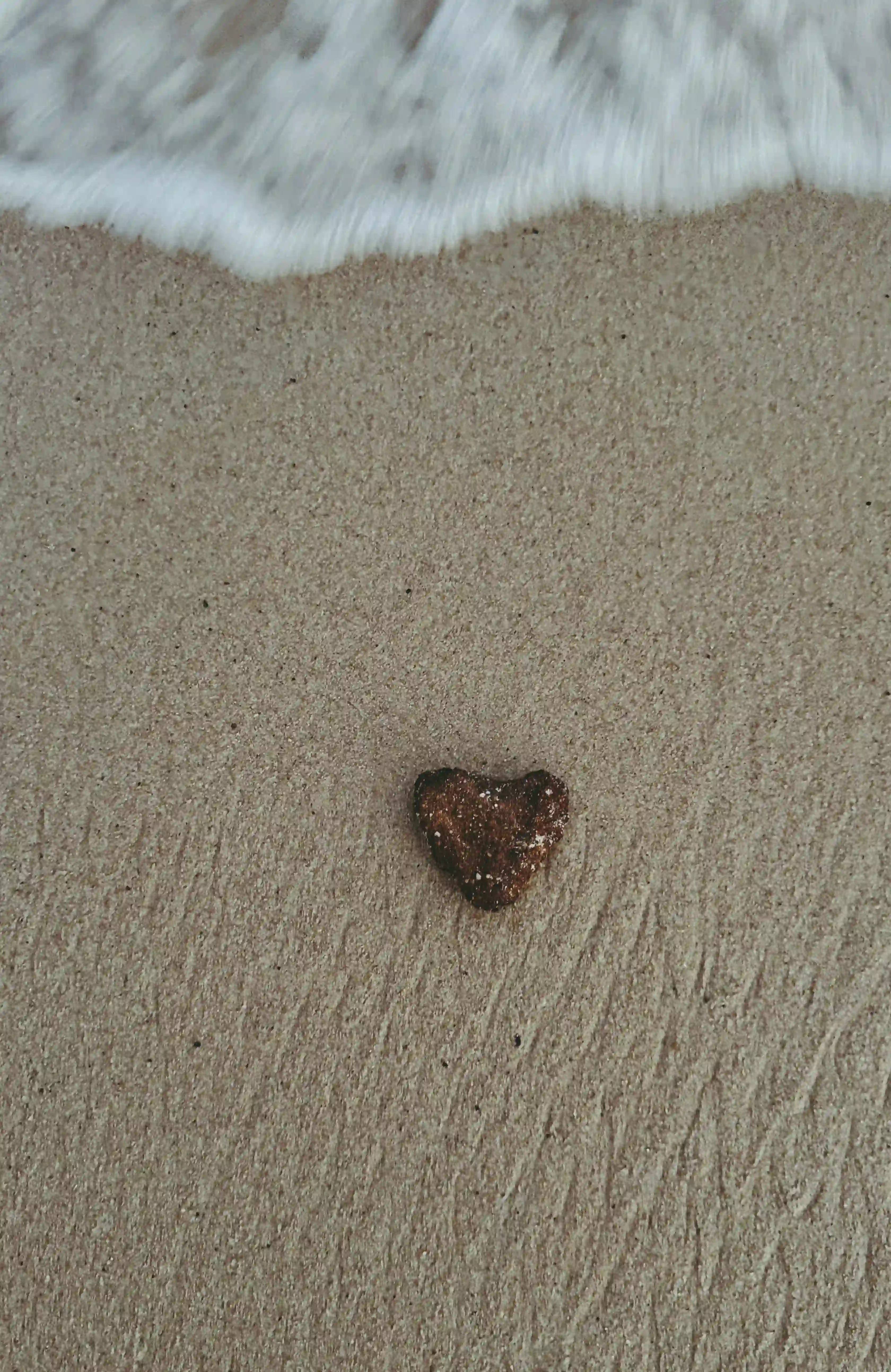 truong-tuyet-ly-zonuPk4Kwxs-unsplash (2)