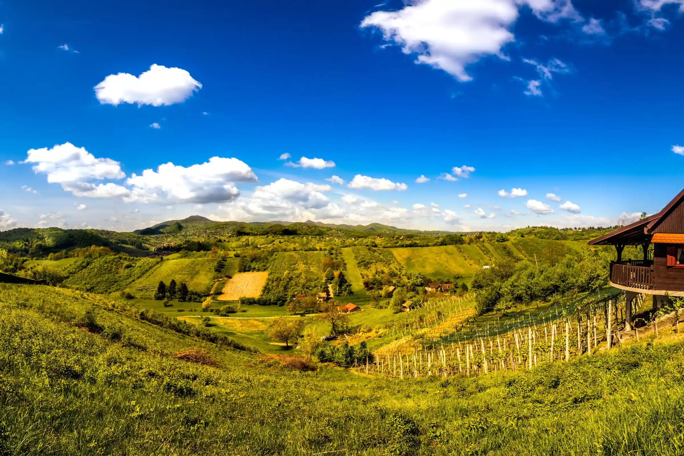 Vinogradi na Plešivici — gastro i vinski izlet iz Zagreba