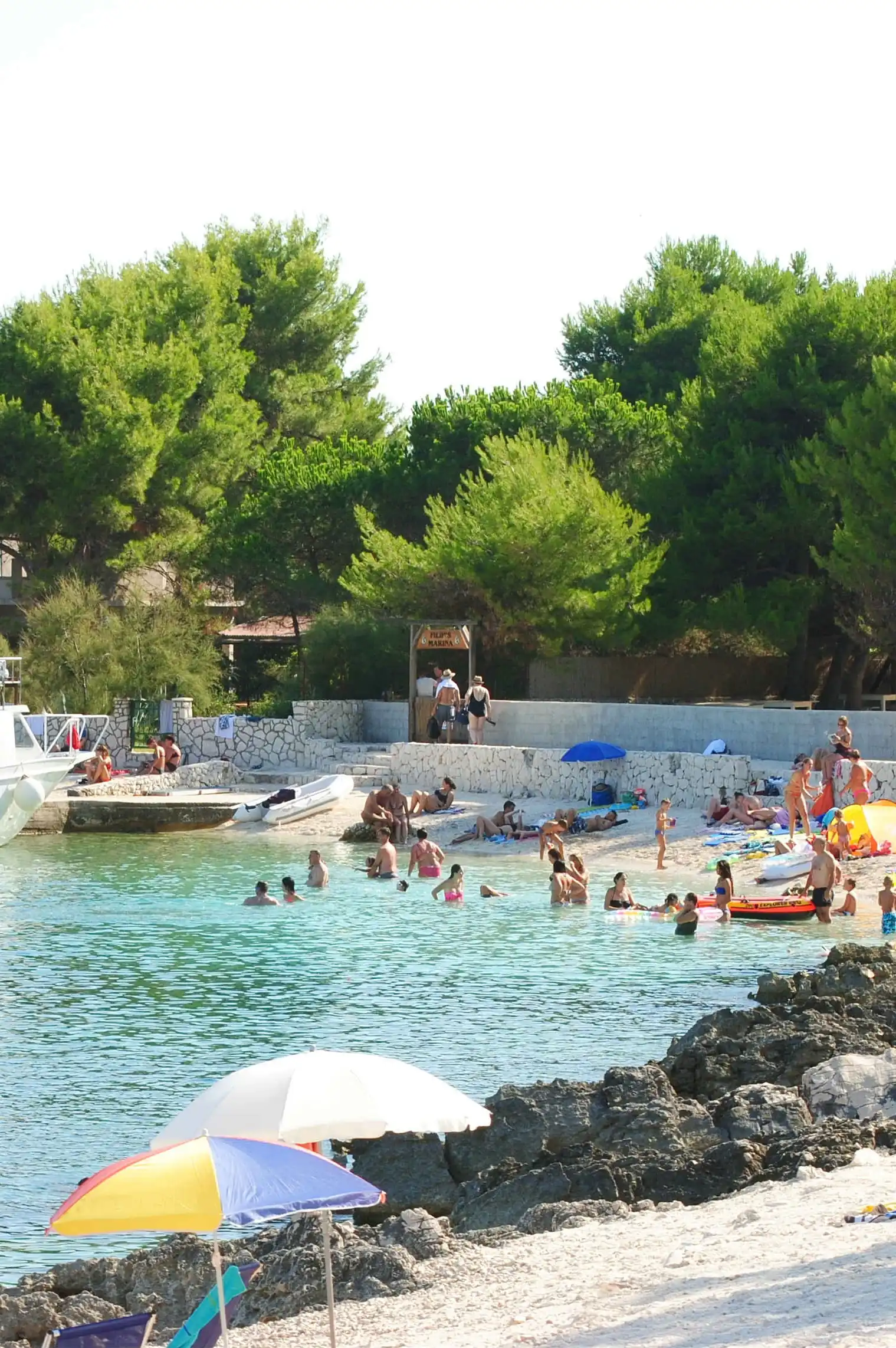 Borova hladovina spušta se do samog ruba plaže Labadusa na otoku Čiovu